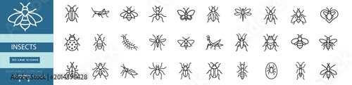 Foto Insects bug web line icons set spotted ladybug beetle praying mantis insect hone