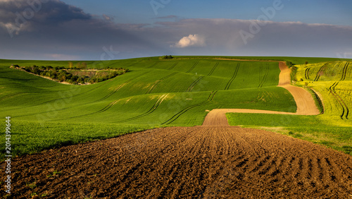 Fresh spring rolling landscape before sunset, with irregular patterns of fields and a depression overgrown with trees - Moravia, Czech Republic