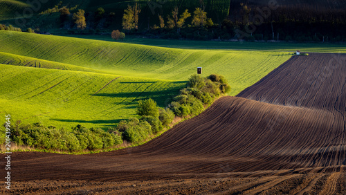 Obraz na plátně Fresh spring rolling landscape before sunset - dark brown plowed fields contrast with green meadows