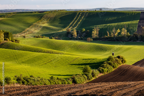 Fresh spring rolling landscape before sunset, modeled by light and shadows, reminiscent of Tuscany - Moravia, Czech Republic