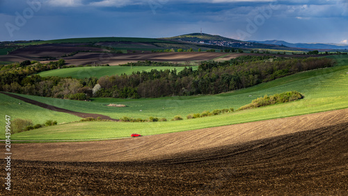 Spring rolling landscape before sunset - brown plowed fields contrast with green expanses. Scene lit by the sun shining through the clouds. Red car driving on the road between the fields