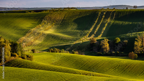 Fresh spring rolling landscape before sunset, modeled by light and shadows, reminiscent of Tuscany - Moravia, Czech Republic