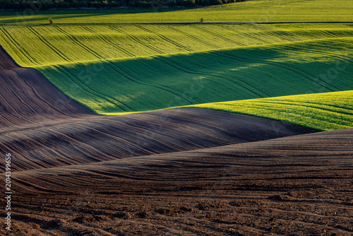 Spring rolling landscape before sunset - brown plowed field contrasts with green field with tractor tracks.