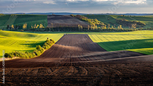 Fotografie Fresh spring rolling landscape before sunset - dark brown plowed fields contrast with green meadows
