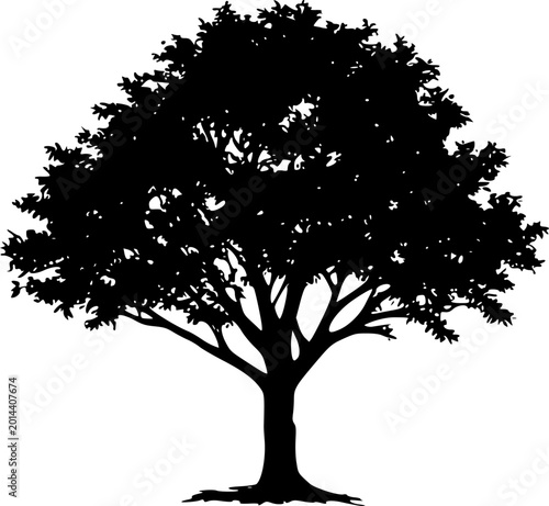 Professional Tree Silhouette Vector Set for Modern Graphic Design Projects