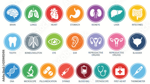 Extensive vector icon set illustrating human anatomy, vital organs, and medical instruments. Ideal for healthcare, wellness, education, and scientific design projects