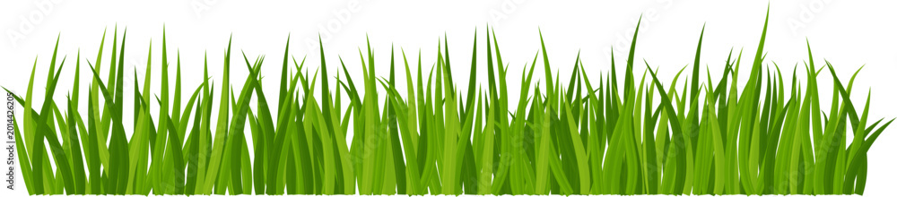 Fototapeta premium Realistic green grass. Bushes of fresh greens. Spring meadow. Summer lawn. Glade with plants. Nature landscape vector illustration.