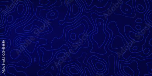 Cuadro en lienzo Topographic map patterns, topography line map
