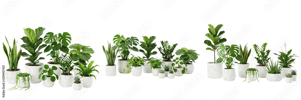 Fototapeta premium Set of Various Small Green Potted Houseplants Isolated on White Background - Trendy Indoor Greenery for Home Office Decor, Interior Design Mockups, and Urban Jungle Graphic Assets