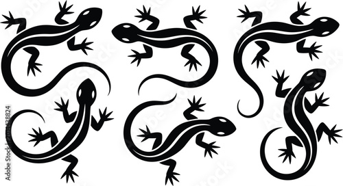Fotografie Collection of black lizard silhouettes on white background