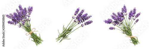 Tied Bunch of Fresh Purple Lavender Herbs Isolated on White Background - Aromatic Botanical Element for Culinary Branding, Natural Skincare Marketing, and Wellness Design Assets