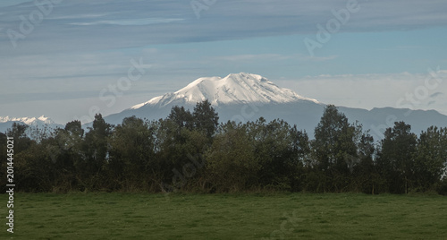 Calbuco volcano peak rising over green field and forest