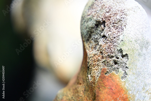 Quadro su tela extreme macro shot of porous animal bone texture, close up of weathered bone sur