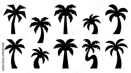 Tableau sur toile A serene tropical landscape featuring a group of palm trees standing tall against a clear sky on a sunny day in a beautiful outdoor setting