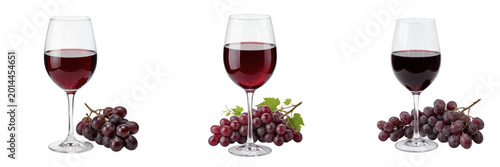 Obraz na plátně Set and collection of glass of red wine with grapes isolated on white background