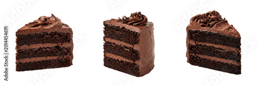 Set and collection of slice of chocolate layer cake isolated on white background