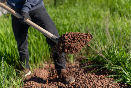 Canvas Print Worker carries expanded clay aggregate with a shovel on grassy outdoor site during landscaping, drainage, or planting preparation