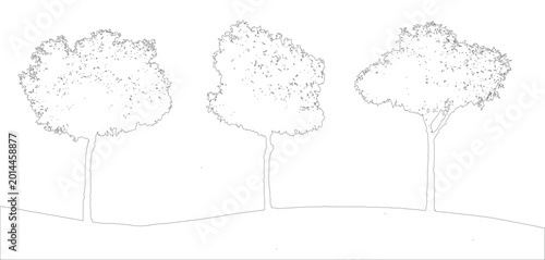Bild auf Leinwand Minimal style CAD tree trio line drawing, Side view, graphics vegetation elements outline symbol for architecture landscape design drawing