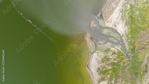 Quadro su tela Algal Bloom: An aerial view of a natural river delta and algal proliferation along the coastline
