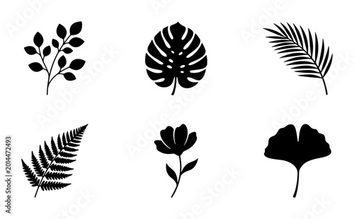 Bild auf Leinwand Minimalist tropical leaf silhouettes, set of 6 black botanical icons, monstera a
