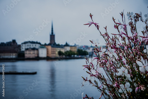 фотографія Stockholm Sweden Waterfront Skyline with Historic Buildings and Church Spire Re