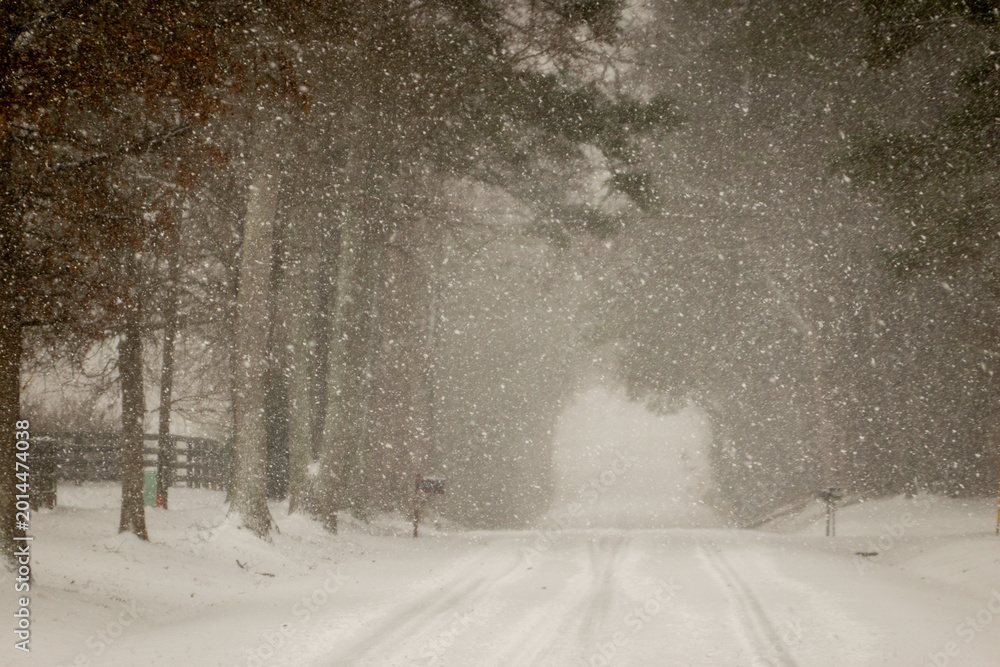 Obraz premium Rare Snowstorm in South Carolina Covering Rural Road with Trees Wooden Fence and Low Visibility Winter Conditions