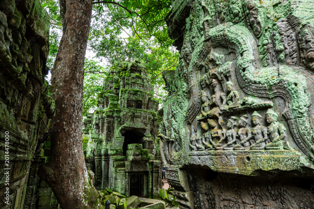Fototapeta premium Ceremonial bas-reliefs and towers of Ta Prohm Temple