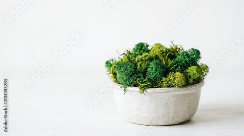 Close-up of vibrant green preserved moss in a pot on a white background with copy space, biophilic design concept