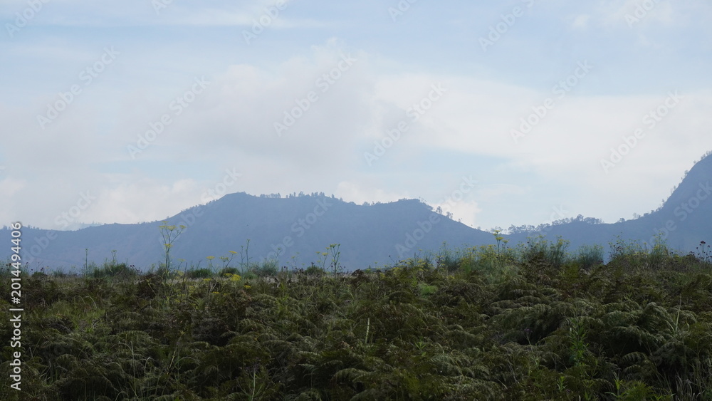 Fototapeta premium Look awesome of fog on mountain in morning