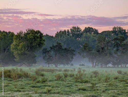  Morning Fog Drifting Across Quiet Farm Fields Near York South Carolina