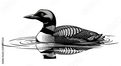 Bild auf Leinwand Loon Bird Illustration in Water