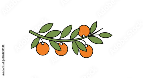 Orange fruit branch with green leaves isolated on white background, simple illustration