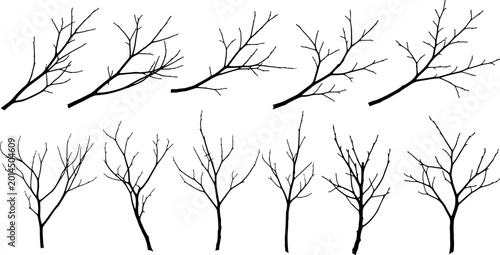 Set, of, black, tree, branch, silhouettes, isolated, on, white, background, wood, twig, collection, nature, element, vector, illustration, plant, winter, leafless, stick, organic, forest, shapes