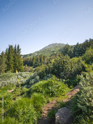 Spring Panorama of Vitosha Mountain, Bulgaria