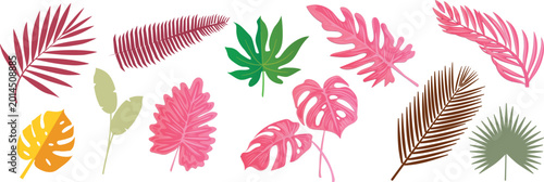 Foto Summer palm leaf vector green pinl orange plant, exotic nature set isolated on white background