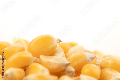 Close-up of raw corn kernels on white background.