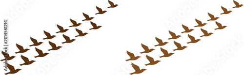 Tableau sur toile Flying birds vector illustration, a flock of brown birds in V-formation, migrato