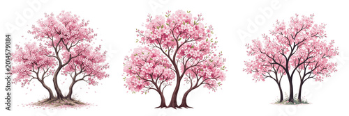 Принти на полотні Spring Pink Cherry Blossom Tree PNG Set, Blooming Sakura Trees in Full Bloom, Is