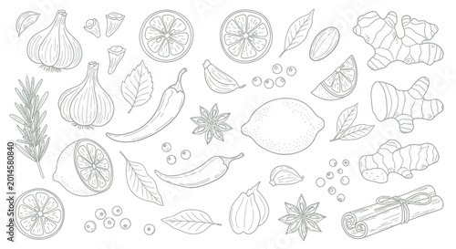 Tableau sur toile Herbs and Spices Collection: Garlic, Lemon, Ginger, Chili, Cinnamon, Star Anise