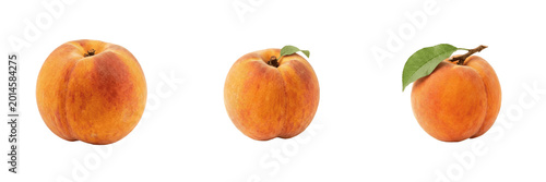 Obraz na plátne Fresh Apricot Fruit PNG Pack - Whole Ripe Orange Velvety Fruit, Sweet Healthy Or