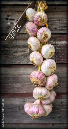 A braid of garlic hangs vertically against a rustic wooden wall, with a small sign labeled 'Garlic'. The different hues of the garlic bulbs contrast with the wooden background.
