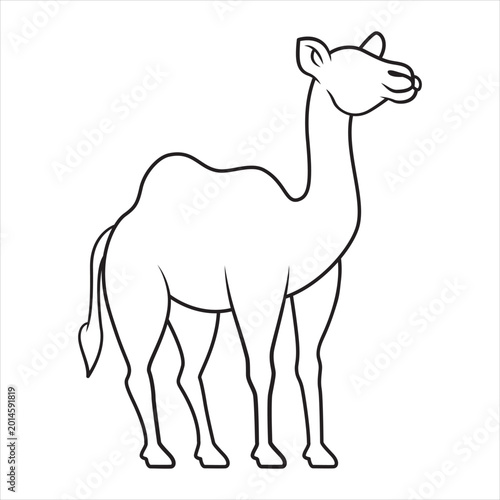 Line art style camel illustration