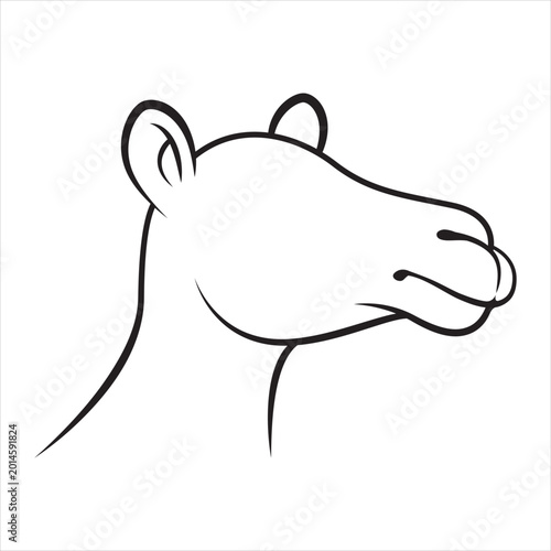 Line art style camel illustration