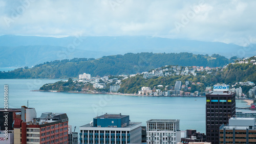 View of Wellington Harbour, New Zealand