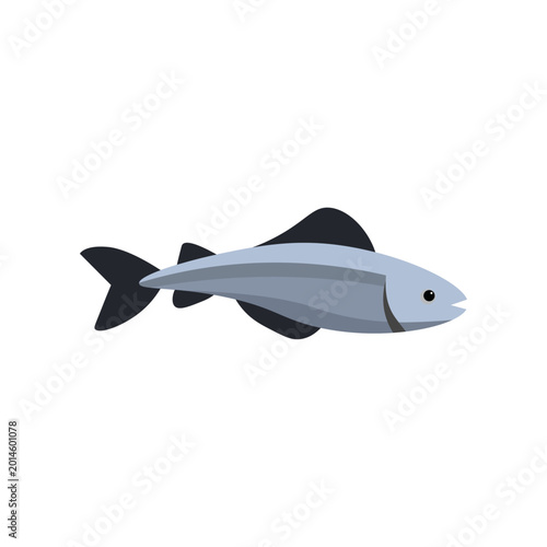 Sea Animal Illustration