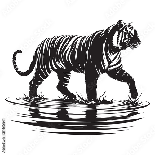 Photography tiger majestic fierce wild animal jungle striped power full hunting roaring endangered carnivore nature safari orange black wild life strength forest beast fast animal fearless animal