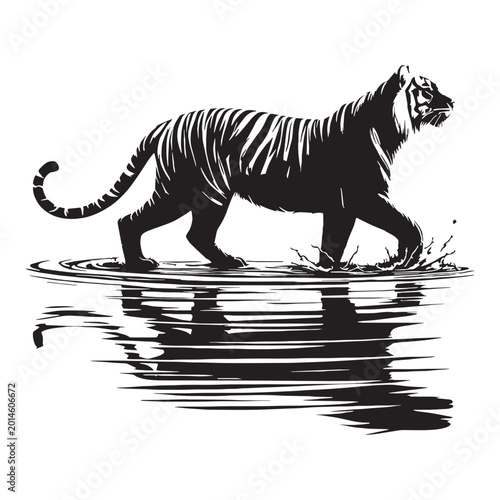 Photography tiger majestic fierce wild animal jungle striped power full hunting roaring endangered carnivore nature safari orange black wild life strength forest beast fast animal fearless animal