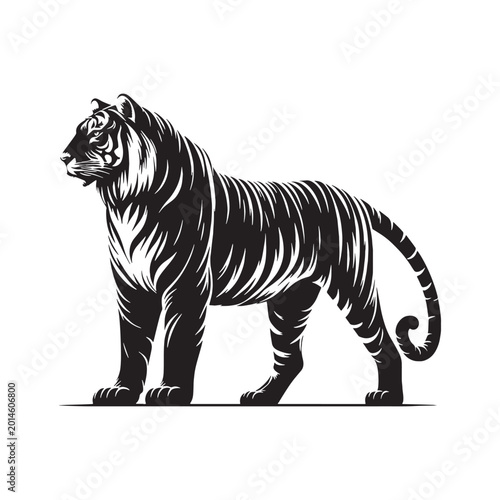 Photography tiger majestic fierce wild animal jungle striped power full hunting roaring endangered carnivore nature safari orange black wild life strength forest beast fast animal fearless animal