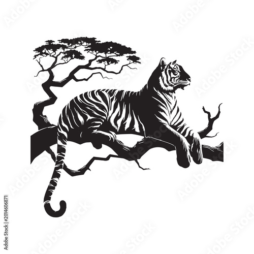 Photography tiger majestic fierce wild animal jungle striped power full hunting roaring endangered carnivore nature safari orange black wild life strength forest beast fast animal fearless animal