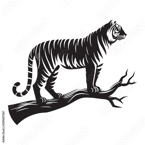 Photography tiger majestic fierce wild animal jungle striped power full hunting roaring endangered carnivore nature safari orange black wild life strength forest beast fast animal fearless animal